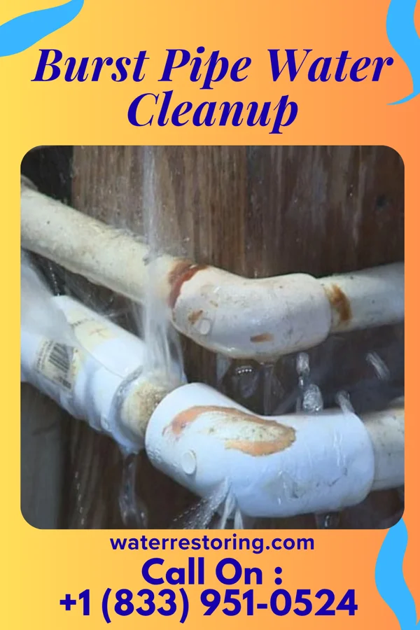 Burst Pipe Water Cleanup in Celoron, NY