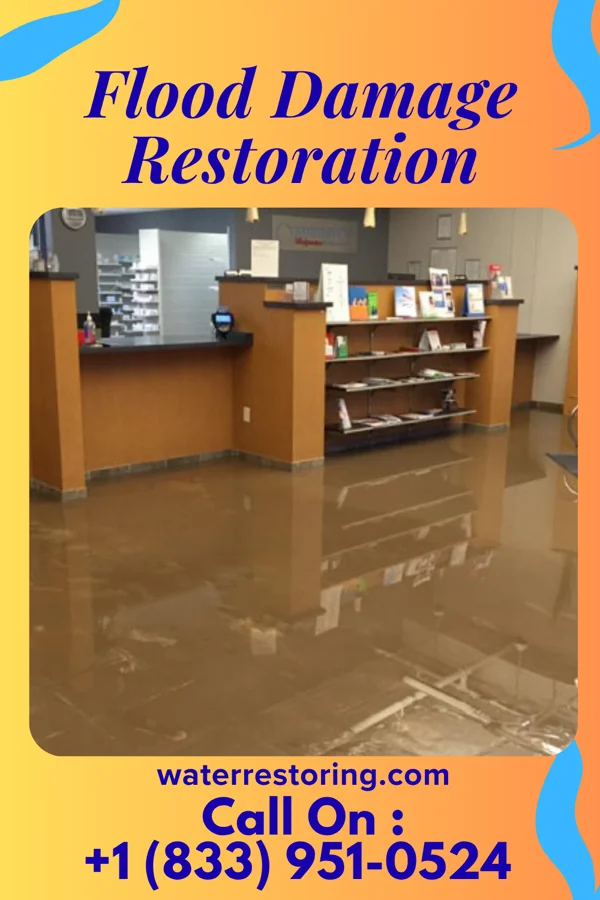 Flood Damage Restoration in Celoron, NY